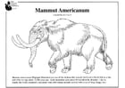 F�rgl�ggningsbilder amerikansk mammut