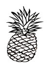 F�rgl�ggningsbilder ananas