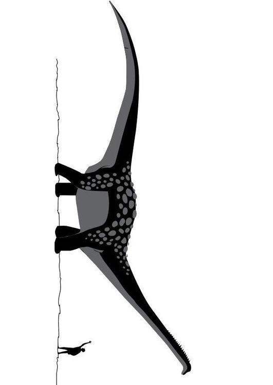 Anatarctosaurus