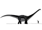 F�rgl�ggningsbilder Anatarctosaurus