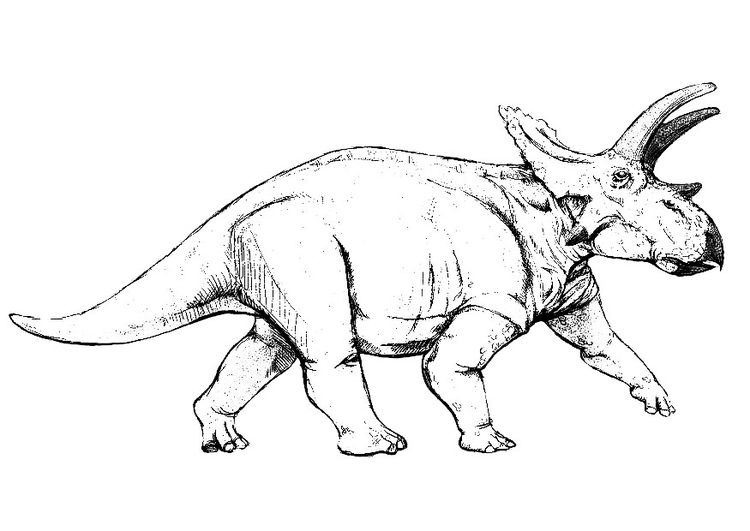 Målarbild anchiceratops - dinosaurie