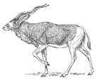 Målarbild antilop
