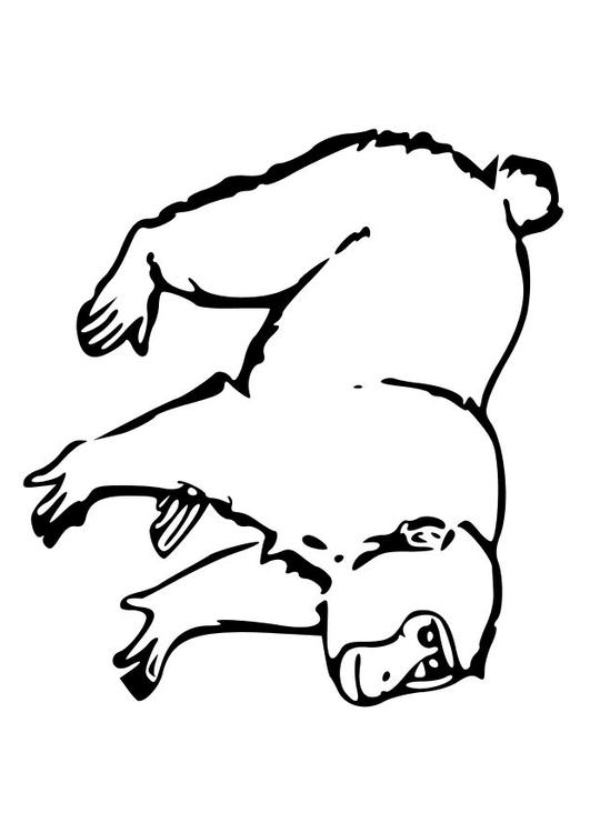 apa