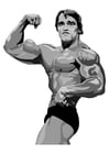 F�rgl�ggningsbilder Arnold Schwarzenegger