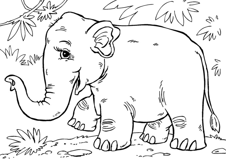 Målarbild asiatisk elefant