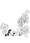 Målarbild bär och blommor
