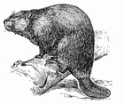 Målarbild bÃ¤ver