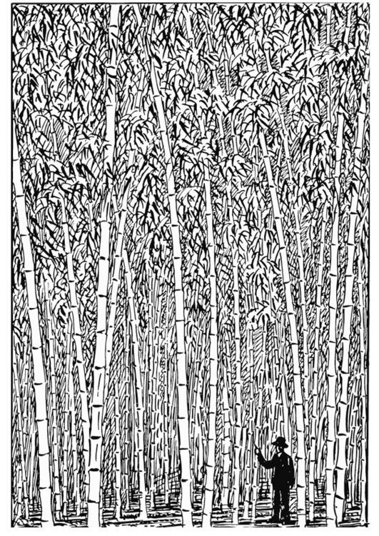 Målarbild bambu