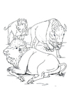 malarbild bisonoxe