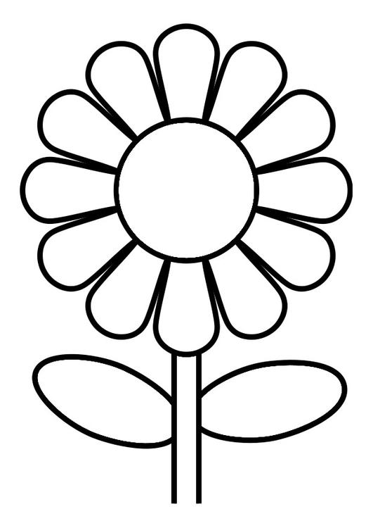 blomma