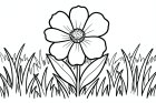 blomma på en äng