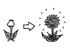 malarbild blomning