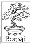 Målarbild bonsai