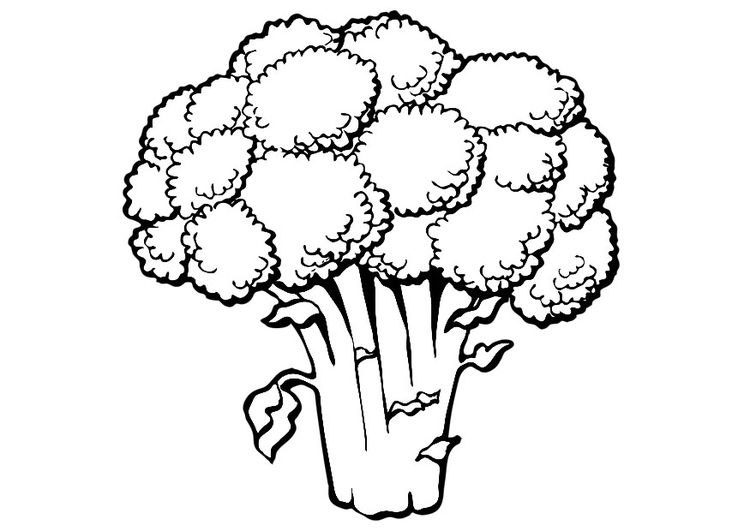 Målarbild broccoli