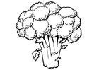 F�rgl�ggningsbilder broccoli