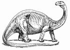 F�rgl�ggningsbilder brontosaurus