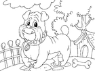 malarbild bulldog