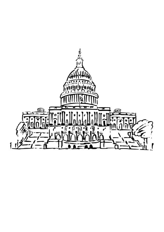 Målarbild Capitolium USA