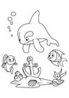 Målarbild delfin och fisk med ankare