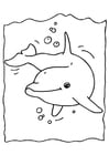 Målarbild delfin
