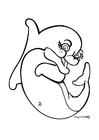 Målarbild delfin