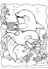 malarbild delfiner 2