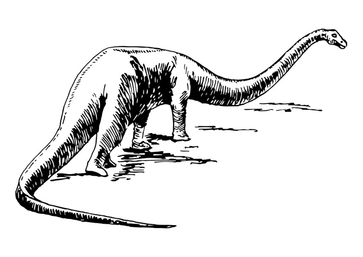Målarbild dinosaurie