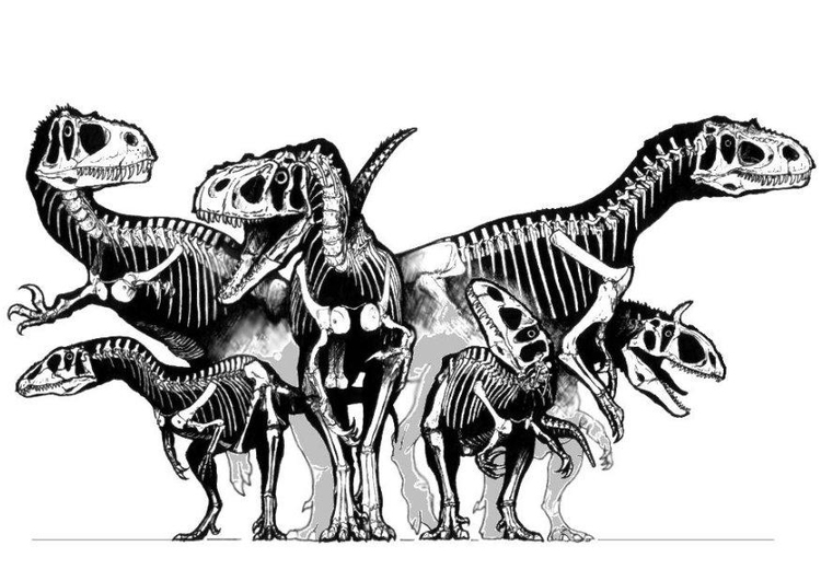 Målarbild dinosaurier i en grupp - skelett