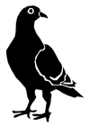 Målarbild duva
