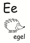 e