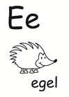 e