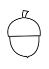 ekollon