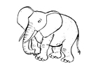 F�rgl�ggningsbilder elefant