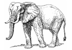 Målarbild elefant