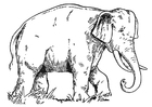 Målarbild elefant