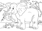 F�rgl�ggningsbilder elefant