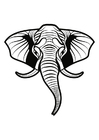 F�rgl�ggningsbilder elefant