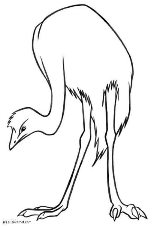Målarbild emu