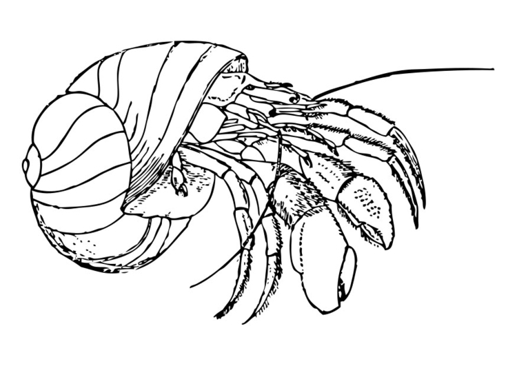 Målarbild eremitkrÃ¤fta