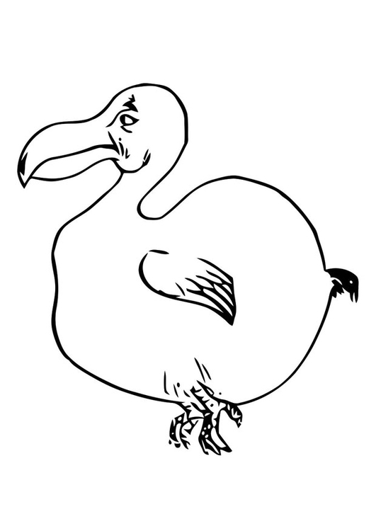 Målarbild fÃ¥gel - dodo