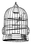 fågel i bur