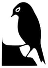 fågel