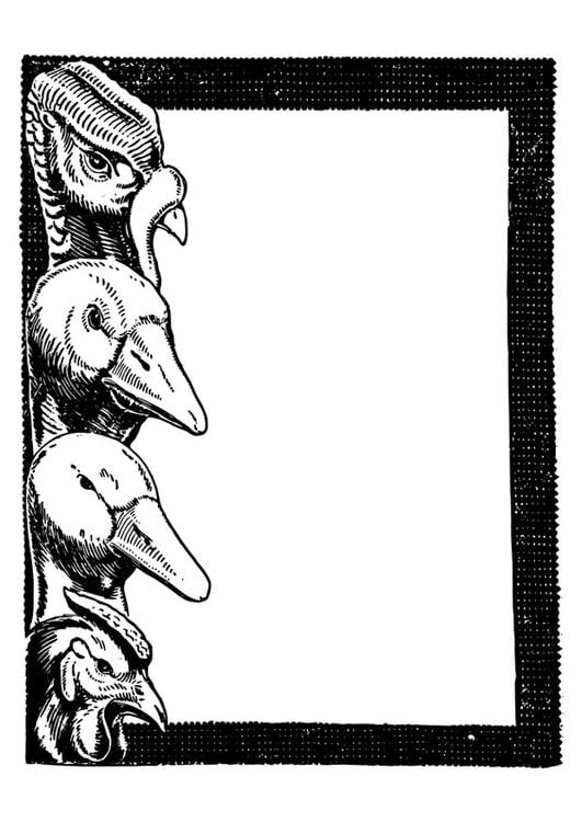fÃ¥glar