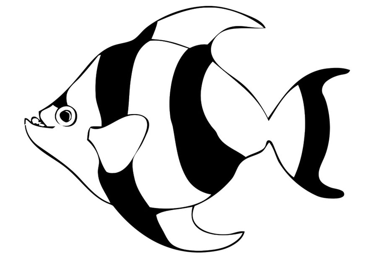 Målarbild fisk