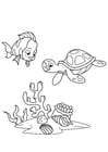 F�rgl�ggningsbilder fisk och vattensköldpadda