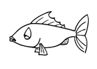F�rgl�ggningsbilder fisk