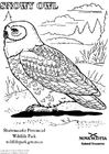 malarbild Fjälluggla
