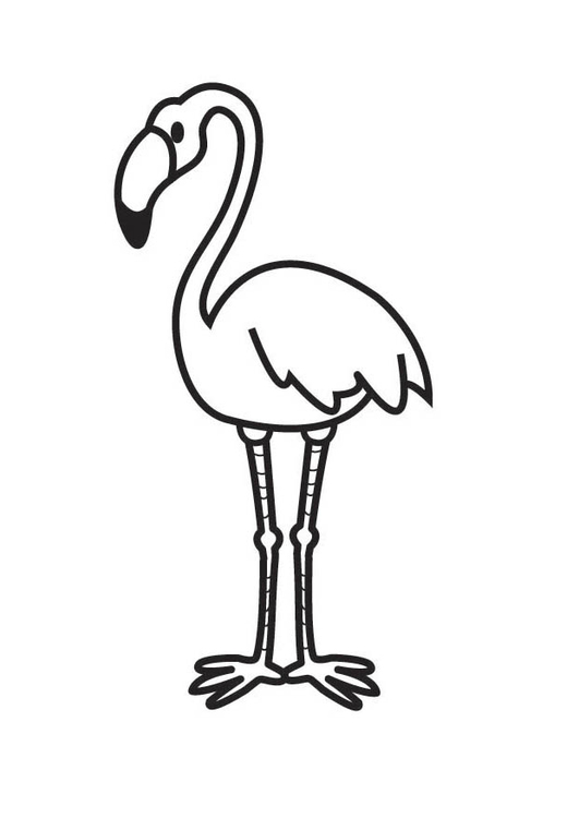 Målarbild flamingo