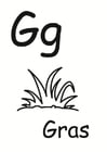 g