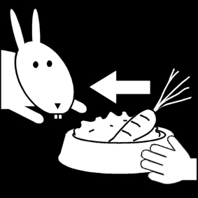 Målarbild ge kaninen mat